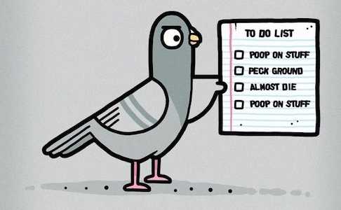 A pigeon with its todo list for the day